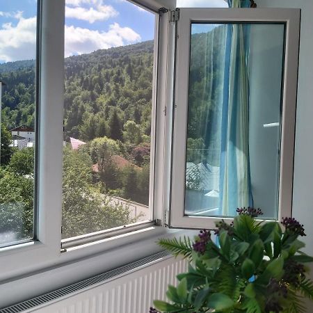 Apartment Valea Azugii อาซูกา ภายนอก รูปภาพ